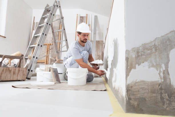 Best Eco-Friendly and Low-VOC Painting  in Palmhurst, TX