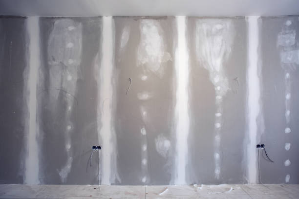 Best Acoustic or Soundproof Drywall Installation  in Palmhurst, TX